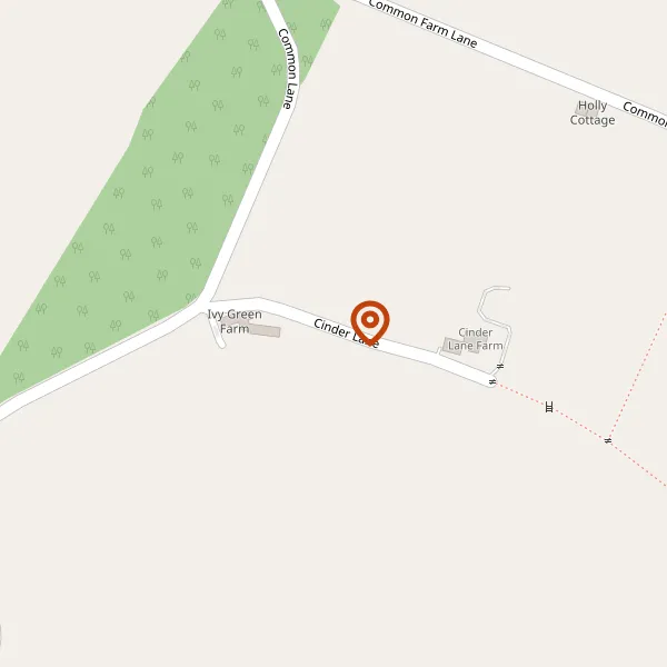 Map showing approximate location: Cinder Lane Farm, Cinder Lane, Snelson, Macclesfield, Cheshire, SK11 9BH